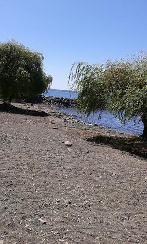 Cabanas Y Camping El Manzano Alojamento Puyehue