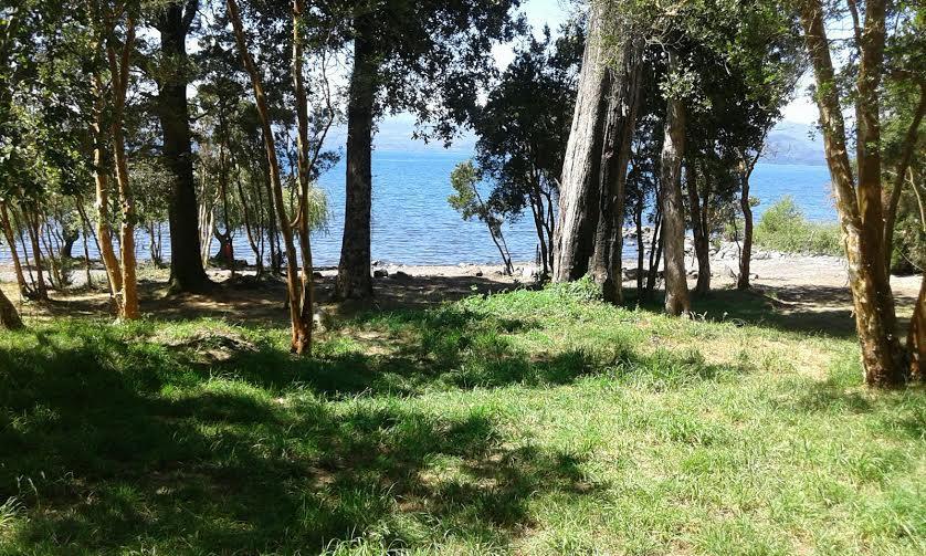 Alojamento Cabanas Y Camping El Manzano *